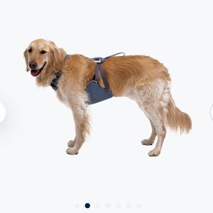 Ruffwear Load Up Automotive Harness